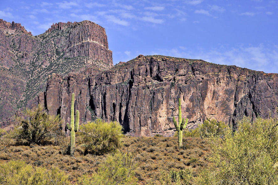 Superstition Wilderness Arizona Photograph by Alexandra Till