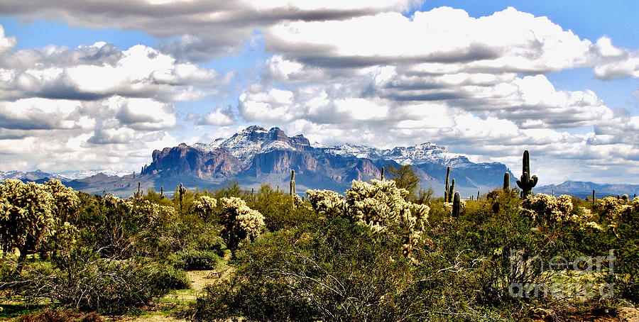Superstitions With Snow Panorama Photograph by Marilyn Smith
