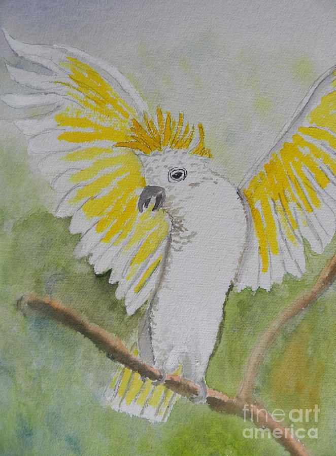 Impressionism Painting - Suphar Crested Cockatoo by Pamela  Meredith