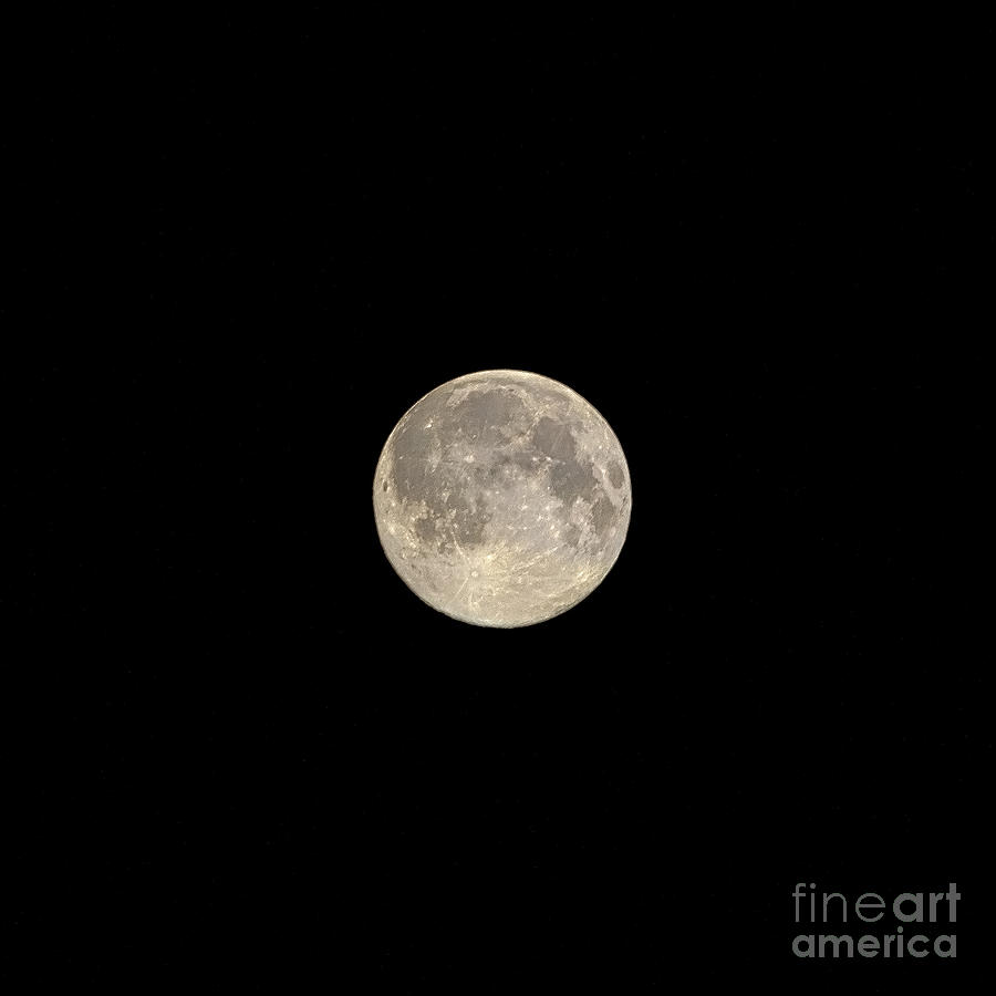 Summer Photograph - Super Moon by M J