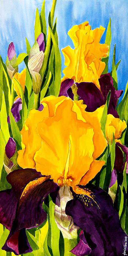 Supreme Sultan Iris Painting by Janis Grau