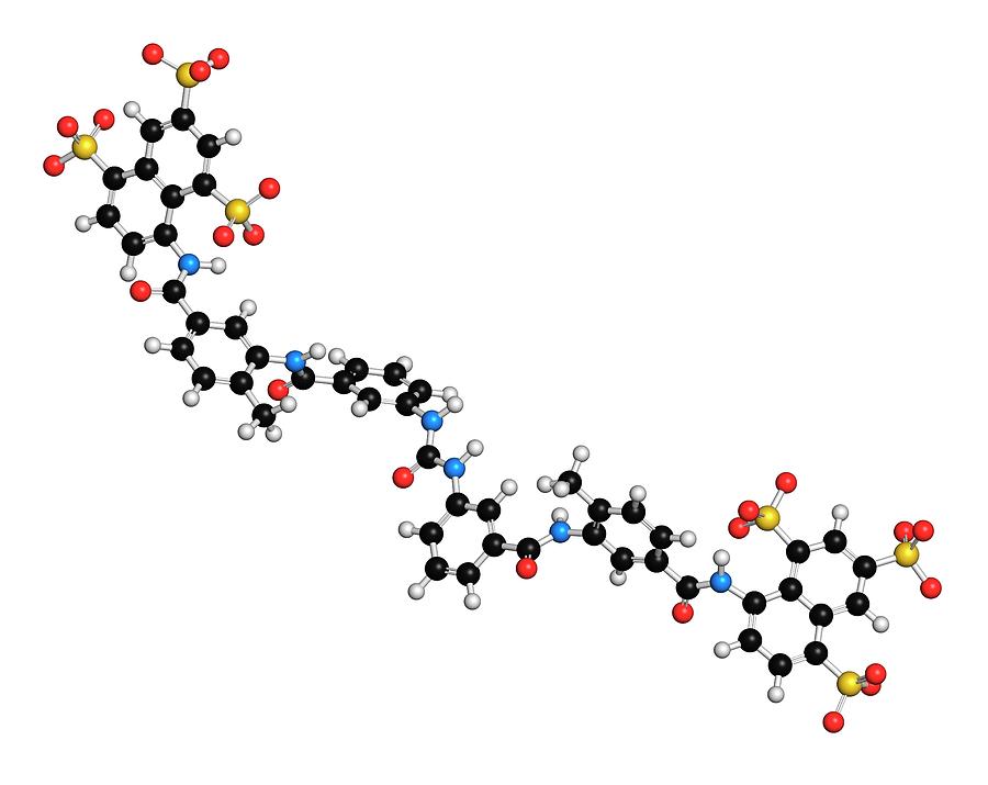 Sodium Photograph - Suramin Sleeping Sickness Drug Molecule by Molekuul