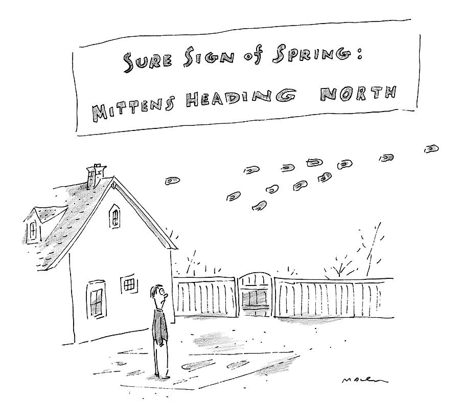 Sure Sign Of Spring: Mittens Heading North Drawing by Michael Maslin