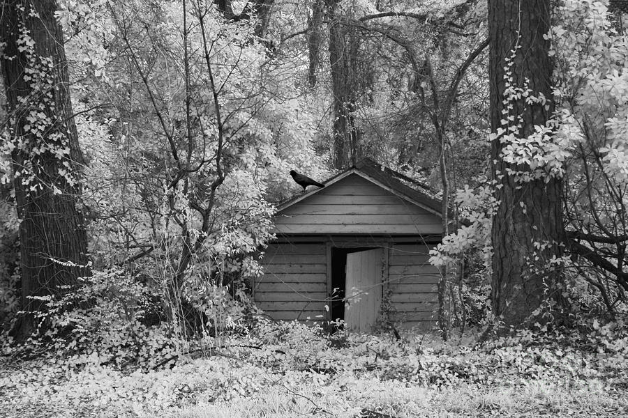Black Raven Photograph - Sureal Gothic Infrared Woodlands Haunting Spooky Eerie Old Building With Black Ravens by Kathy Fornal