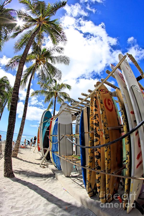 Surf and Sun Waikiki Photograph by DJ Florek
