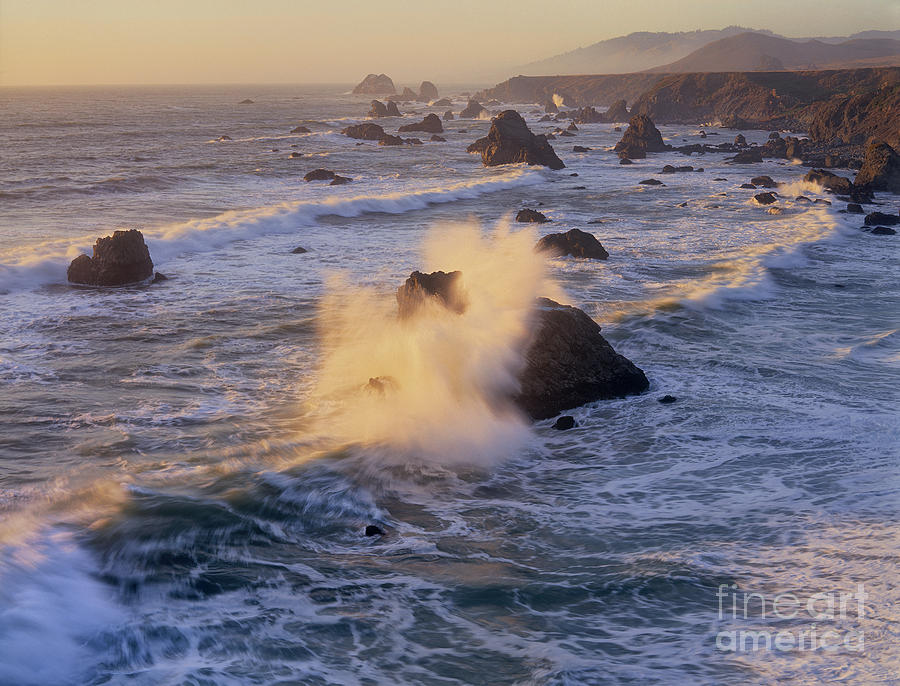 Surf at Sunset Bodega Bay Sonoma State Beach California Photograph by Dave Welling