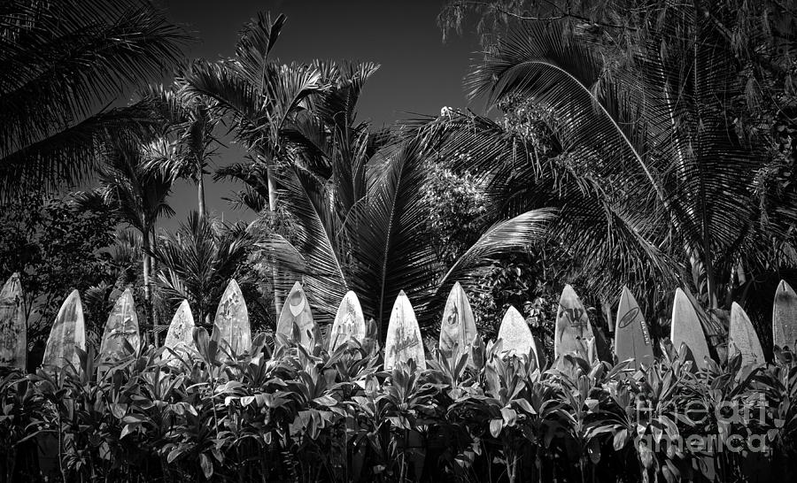 Beach Photograph - Surf Board Fence Maui Hawaii Black and White by Edward Fielding