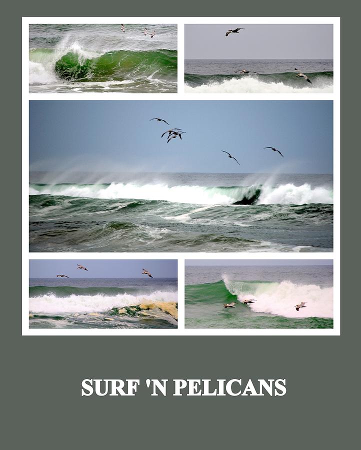 Surf n Pelicans Photograph by AJ  Schibig
