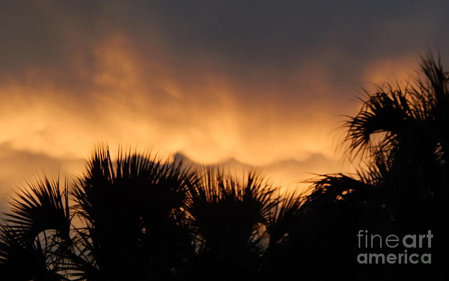 Surf Sunset Of The Oasis In The Sky Over New Orleans Louisiana Photograph by Michael Hoard