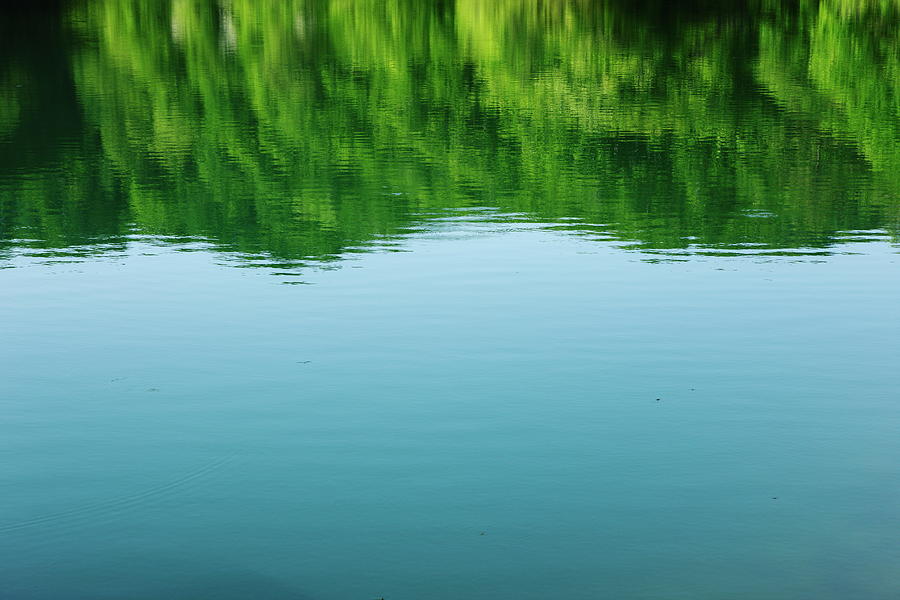Surface Of The Lake In Forest Photograph by Sot