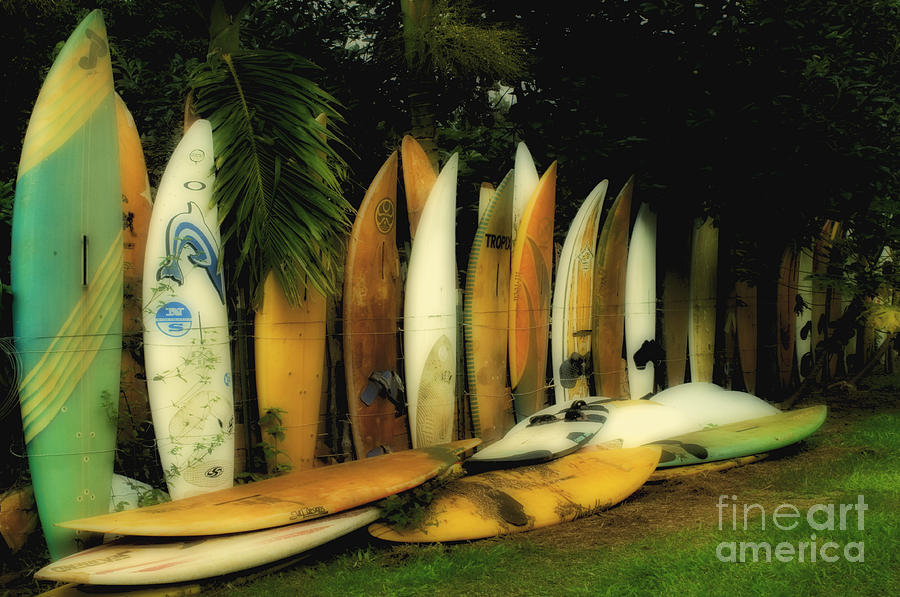 Surfboard Fence Hawaii 2 Photograph by Bob Christopher