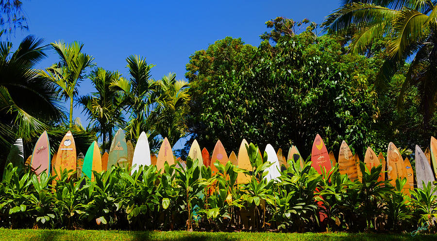Surfboard Fence - Maui Photograph by Paulette B Wright