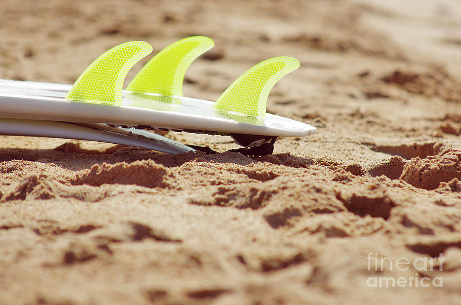 Summer Photograph - Surfboard fins by Carlos Caetano