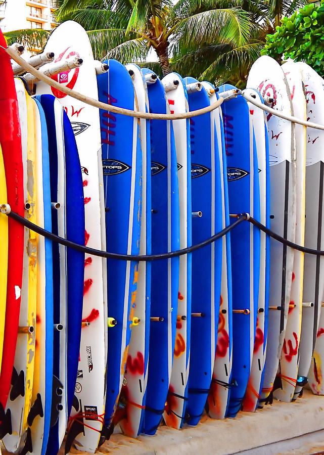 Surfboards Photograph by Jenny Hudson
