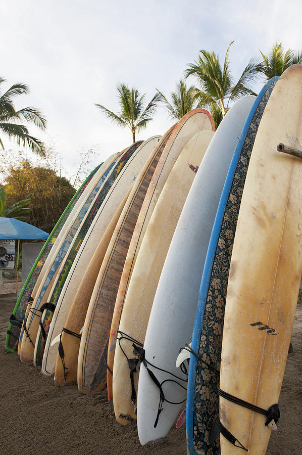 Surfboards Standing Up Against A Rack Photograph by Keith Levit