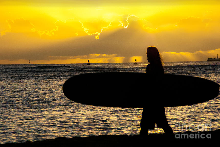 Surfer Dude Photograph by Juli Scalzi