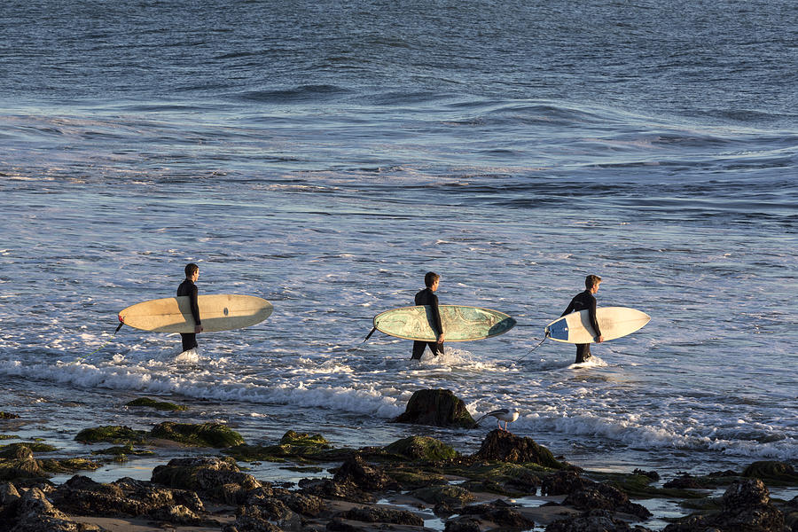 Surfers Photograph - Surfers in Montecito by Carol M Highsmith