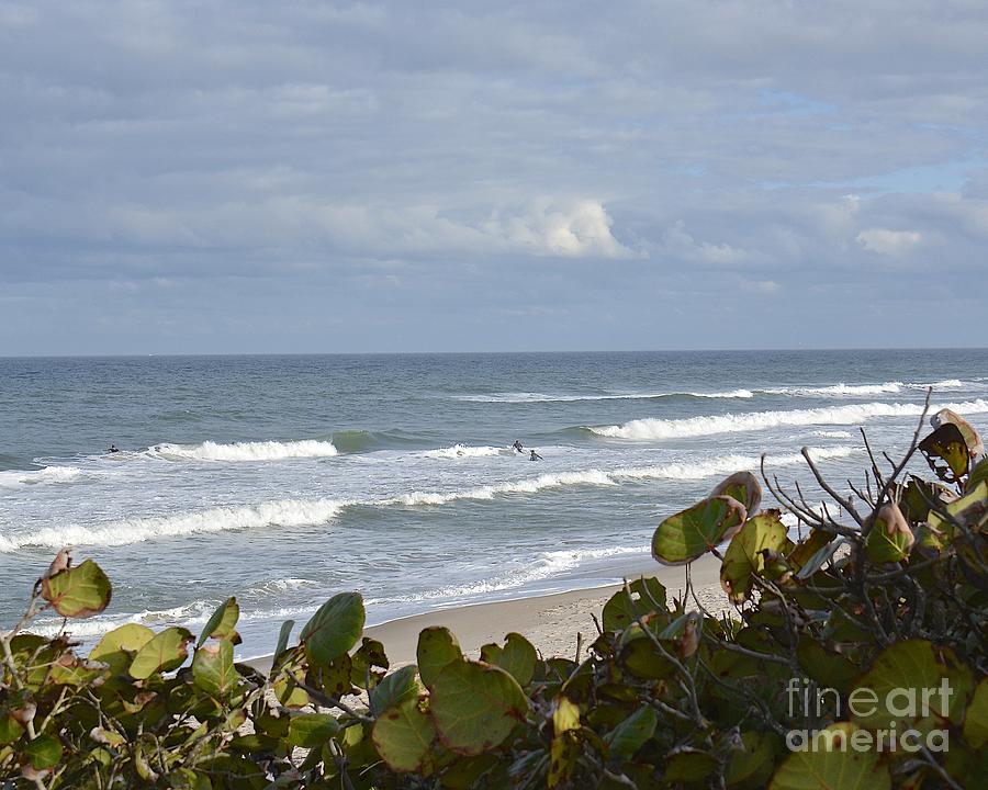 Surfin Photograph by Carol  Bradley