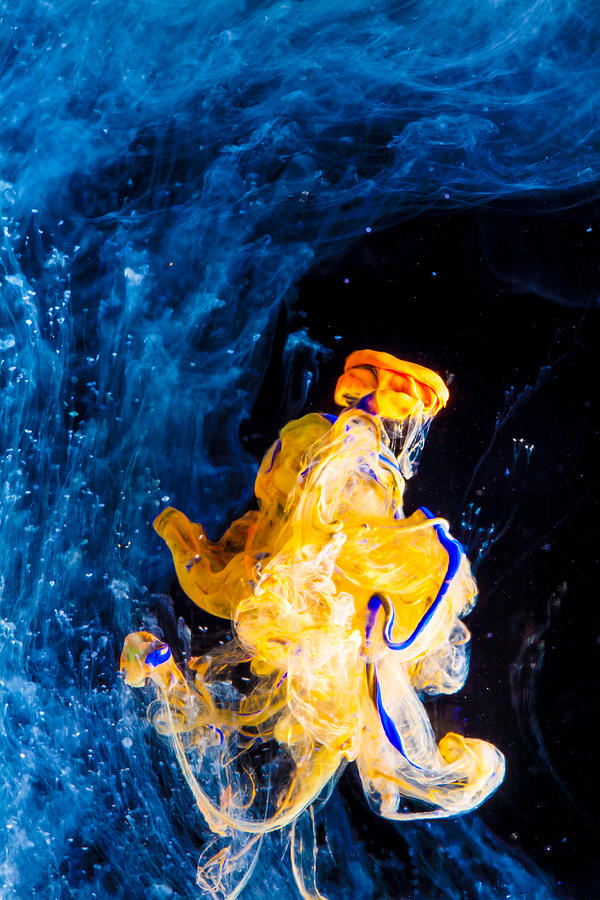 Surfin Yoda Photograph by Modern Abstract