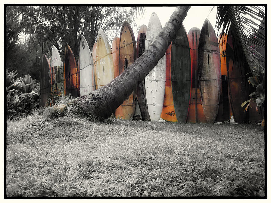 Honolulu Photograph - Surfs Up by Linda Dunn