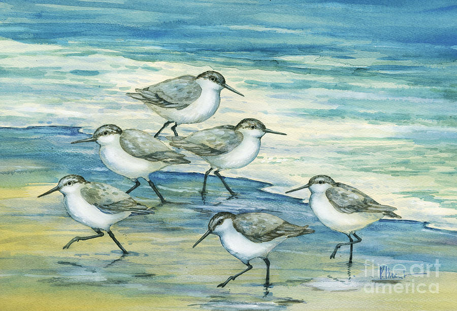 Sandpipers Painting - Surfside Sandpipers by Paul Brent