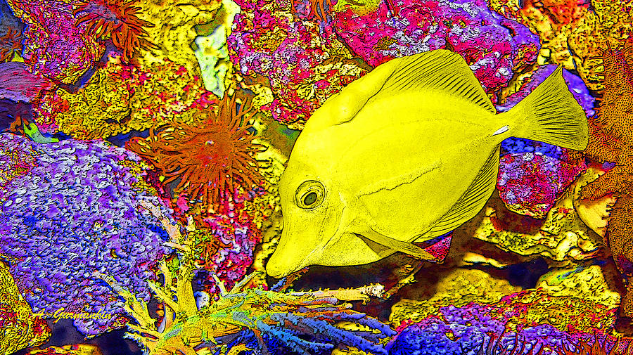 Surgeon Fish Yellow Tang Digital Art Digital Art by A Macarthur Gurmankin