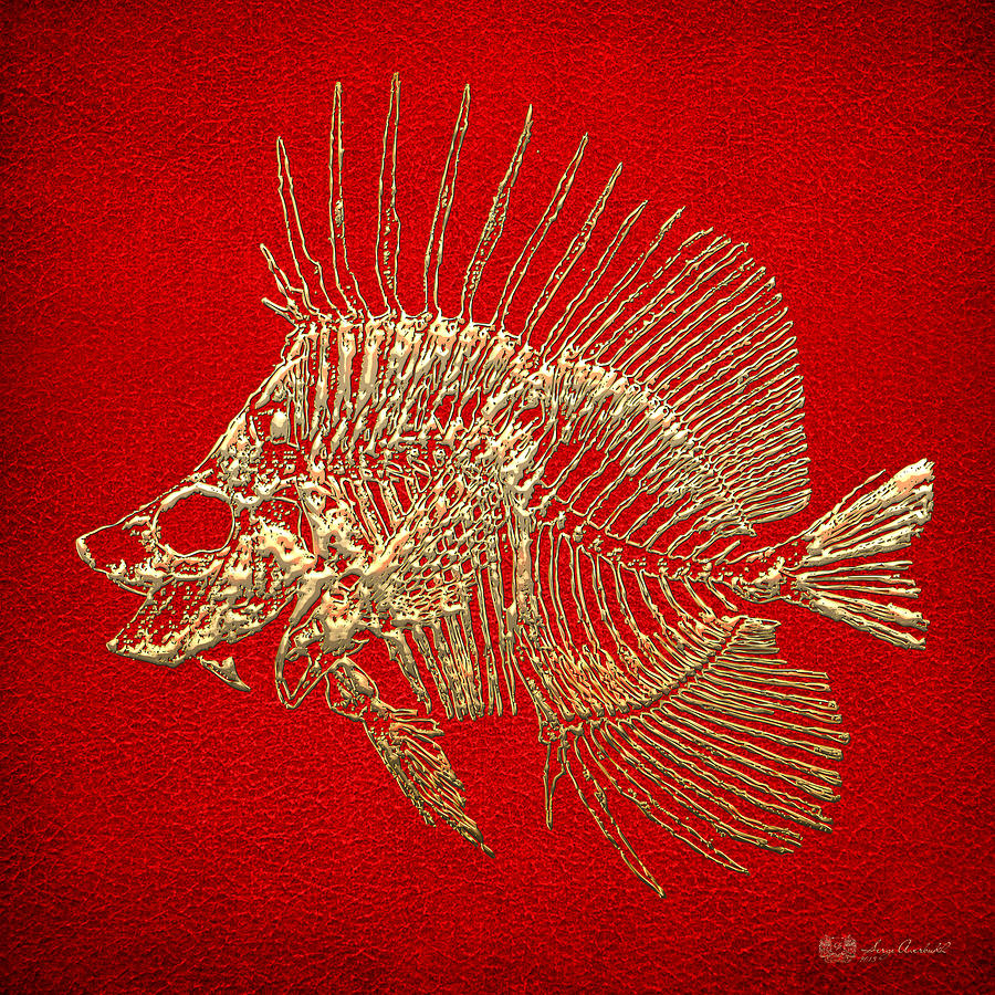 Surgeonfish Skeleton in Gold on Red  Digital Art by Serge Averbukh