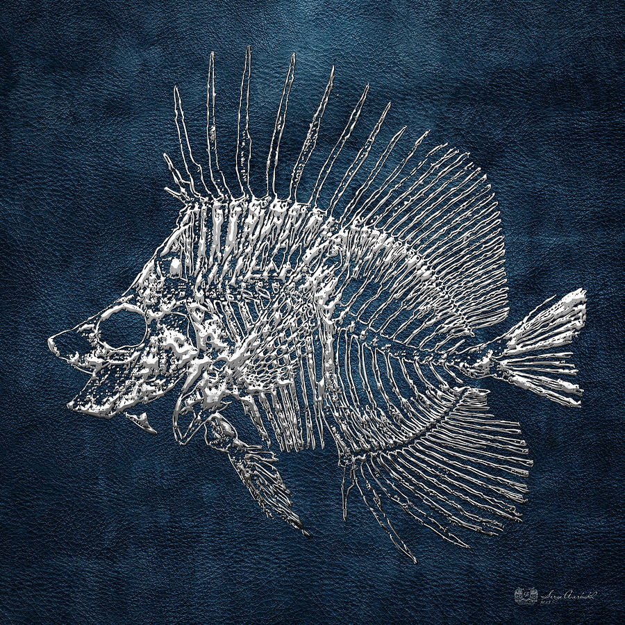 Surgeonfish Skeleton in Silver on Blue  Digital Art by Serge Averbukh