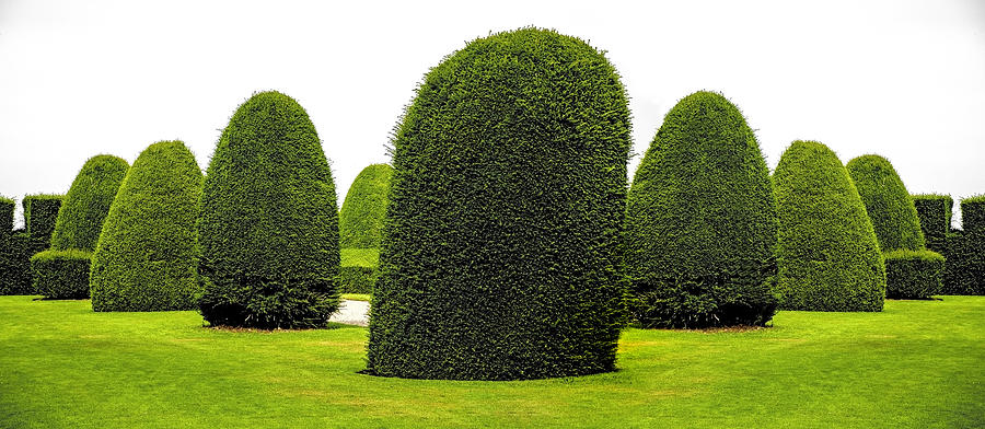 Surreal Architectural Topiary Photograph by Www.peterjuerges.co.uk