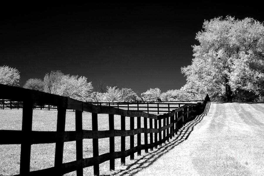 Surreal Black White Infrared Fence Landscape Photograph by Kathy Fornal