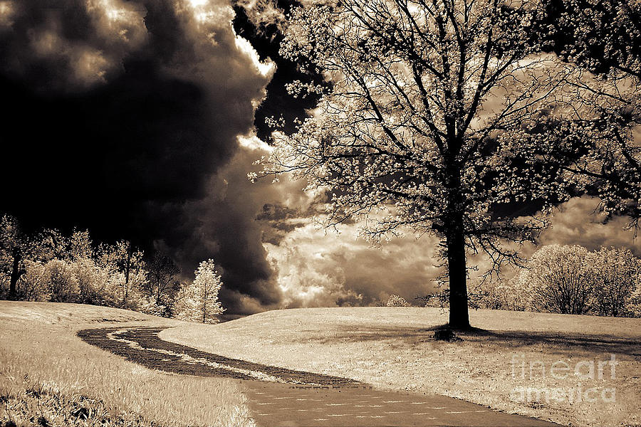 Surreal Dark Gothic Infrared Sepia Trees Clouds Landscape Photograph by Kathy Fornal