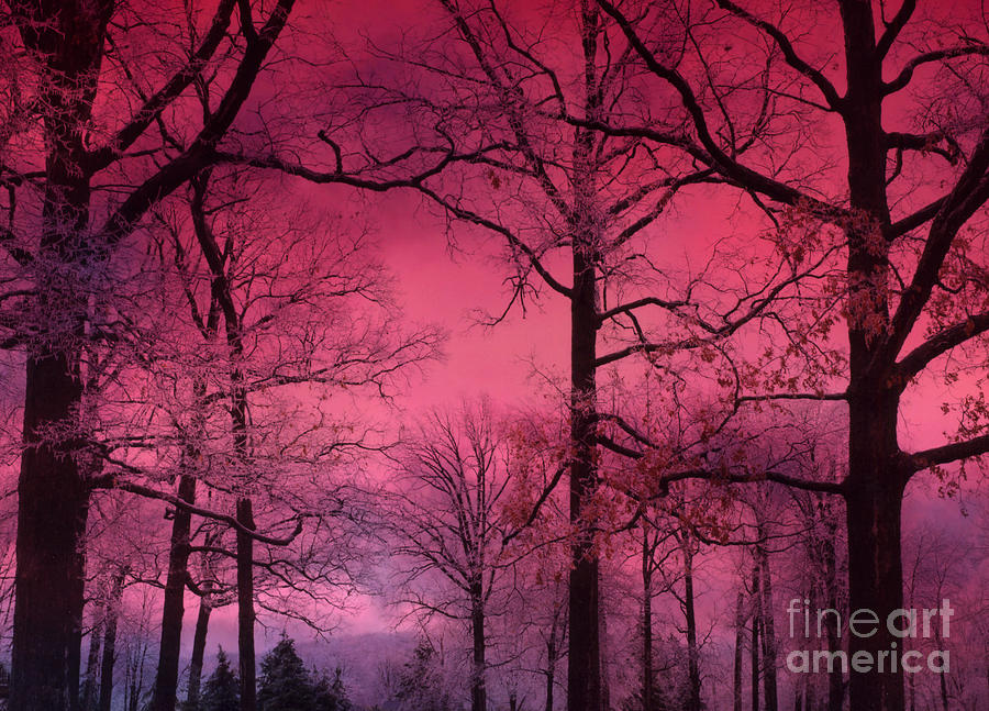 Surreal Dark Pink Fantasy Nature - Haunting Dark Pink Sky Nature Tree Forest Woodlands Photograph by Kathy Fornal