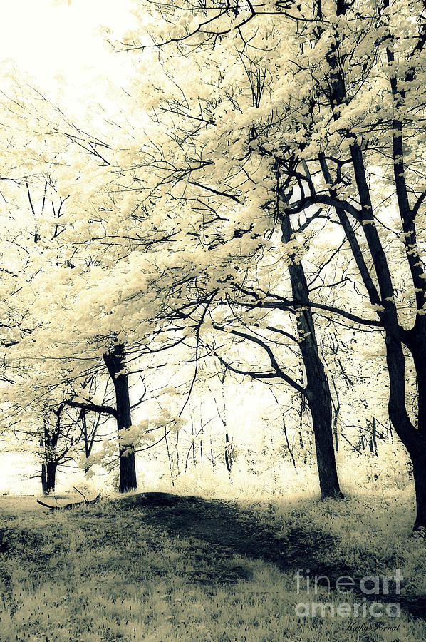 Surreal Dreamy Fantasy Nature Trees Yellow Spring Landscape Photograph by Kathy Fornal