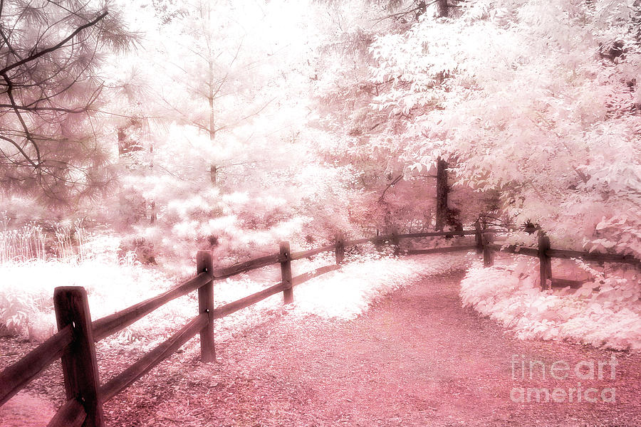 Surreal Dreamy Fantasy Pink Infrared Path Fence Landscape Photograph by Kathy Fornal