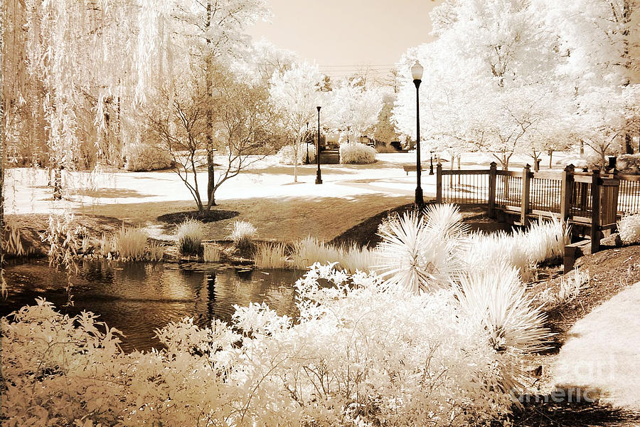 Surreal Dreamy Infrared Sepia Park Landscape Photograph by Kathy Fornal