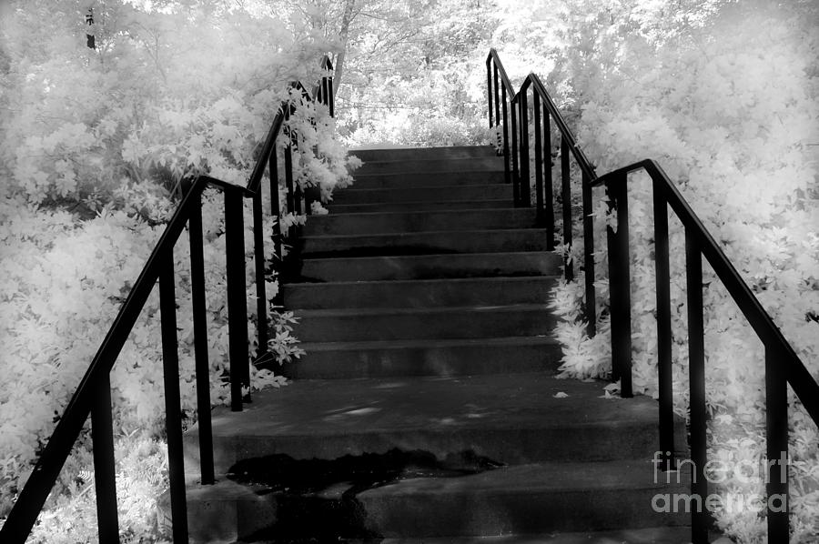 Nature Photograph - Surreal Stairs Fantasy Black and White Stairs Nature Infrared Staircase by Kathy Fornal