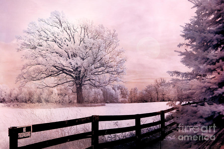 Surreal Fantasy Dreamy Pink Infrared Trees and Nature Landscape  Photograph by Kathy Fornal