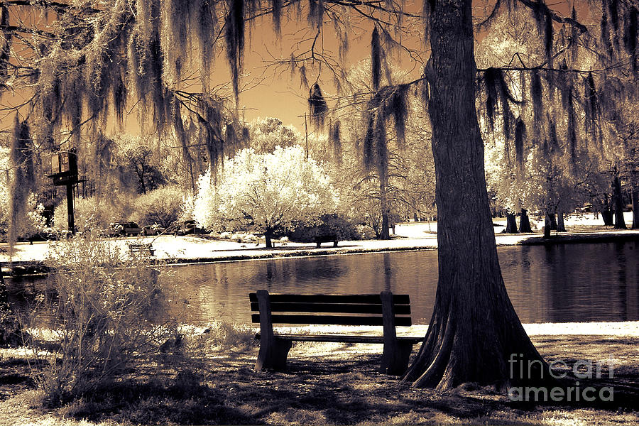 Nature Digital Art - Surreal Fantasy Ethereal Infrared Sepia Park Nature Landscape  by Kathy Fornal