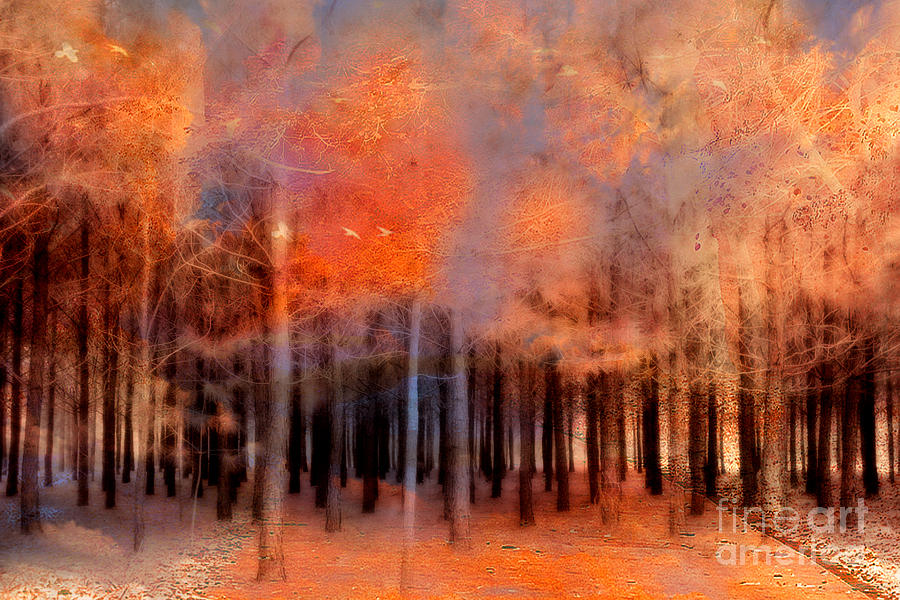 Fall In South Carolina Photograph - Surreal Fantasy Ethereal Trees Autumn Fall Orange Woodlands Nature  by Kathy Fornal