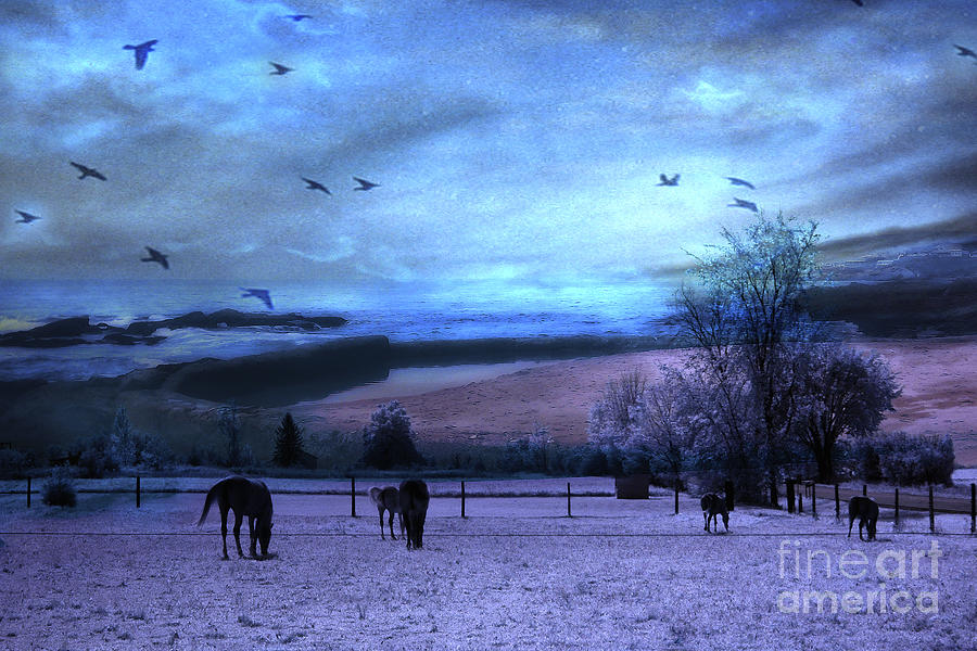 Surreal Fantasy Fairytale Horse Landscapes - Fairytale Blue Skies Photograph by Kathy Fornal