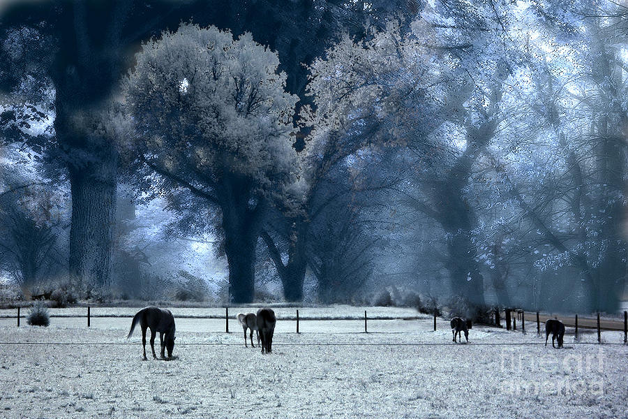 Surreal Fantasy Fairytale Infrared Nature Horses Blue Landscape Photograph by Kathy Fornal