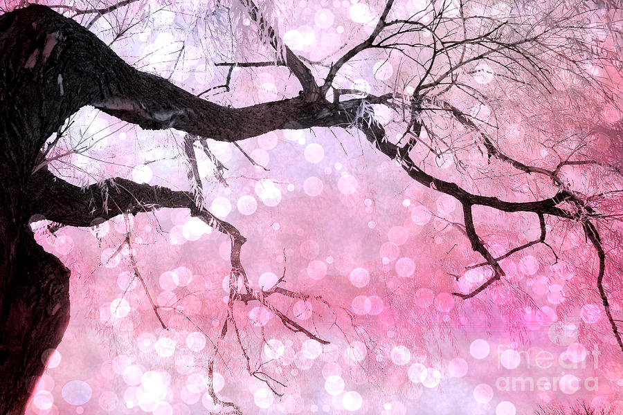 Surreal Trees Photograph - Surreal Fantasy Fairytale Pink and Black Nature Haunting Tree Limbs - Pink Bokeh Circles by Kathy Fornal