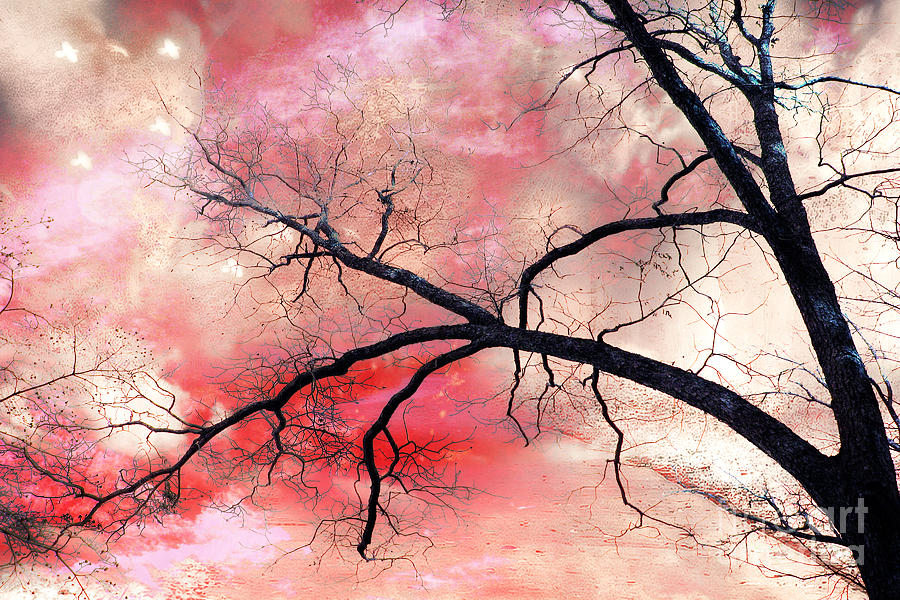 Nature Photograph - Surreal Fantasy Gothic Nature Tree Sky Landscape - Fantasy Nature by Kathy Fornal