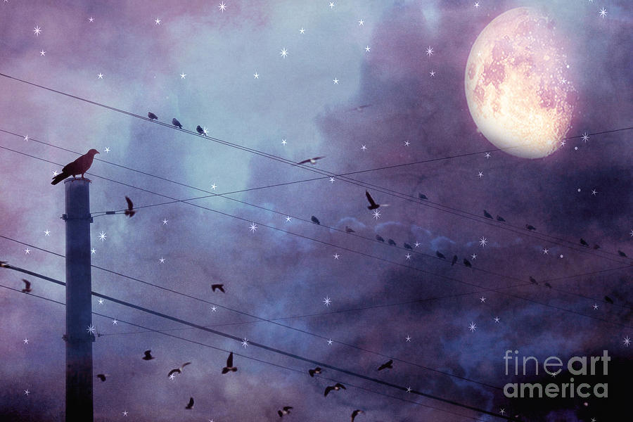 Surreal Fantasy Gothic Raven Moonlit Starry Night - Raven Birds On Powerline With Moon and Stars  Photograph by Kathy Fornal