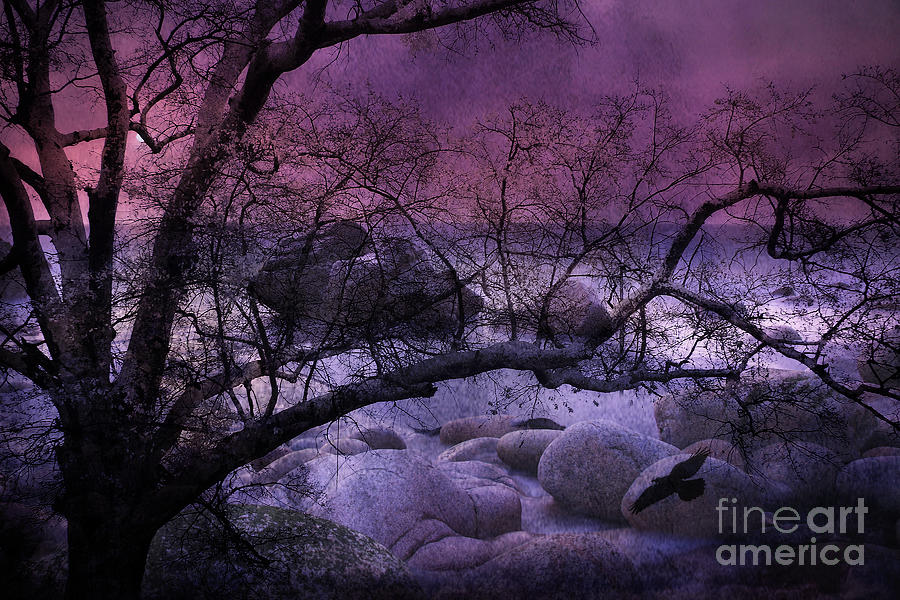 Surreal Fantasy Haunting Trees Nature - Purple Pink Nature Trees Rocks and Flying Raven Digital Art by Kathy Fornal