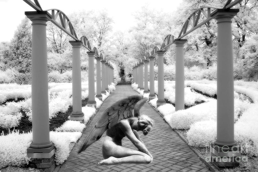 Surreal Fantasy Infrared Angel Wings In Dream World Photograph by Kathy Fornal