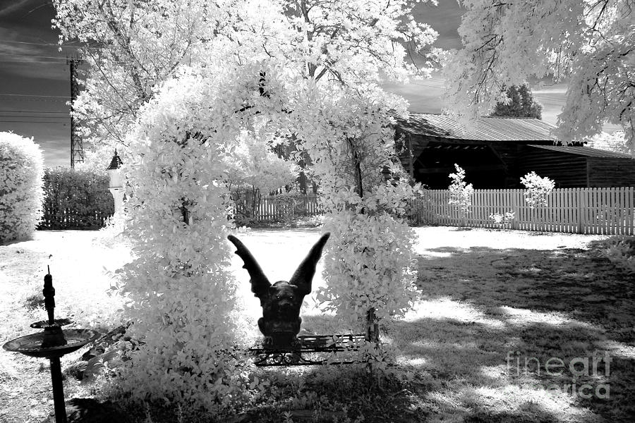 Surreal Black and White Infrared Gargoyle In Park - Gothic Gargoyle Infrared Nature Landscape Photograph by Kathy Fornal