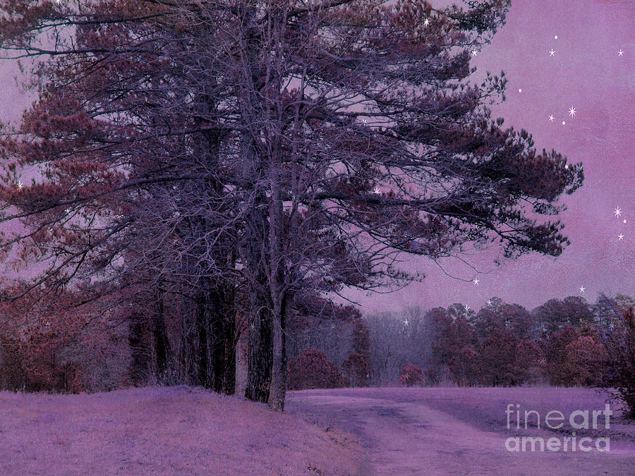 Surreal Trees Photograph - Surreal Fantasy Nature South Carolina Dark Purple Night Landscape by Kathy Fornal