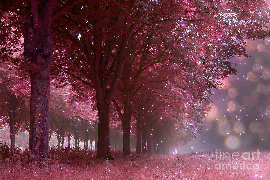 Fantasy Photograph - Surreal Fantasy Nature Trees With Twinkling Sparkling Lights and Bokeh - Fantasy Fairytale Nature  by Kathy Fornal