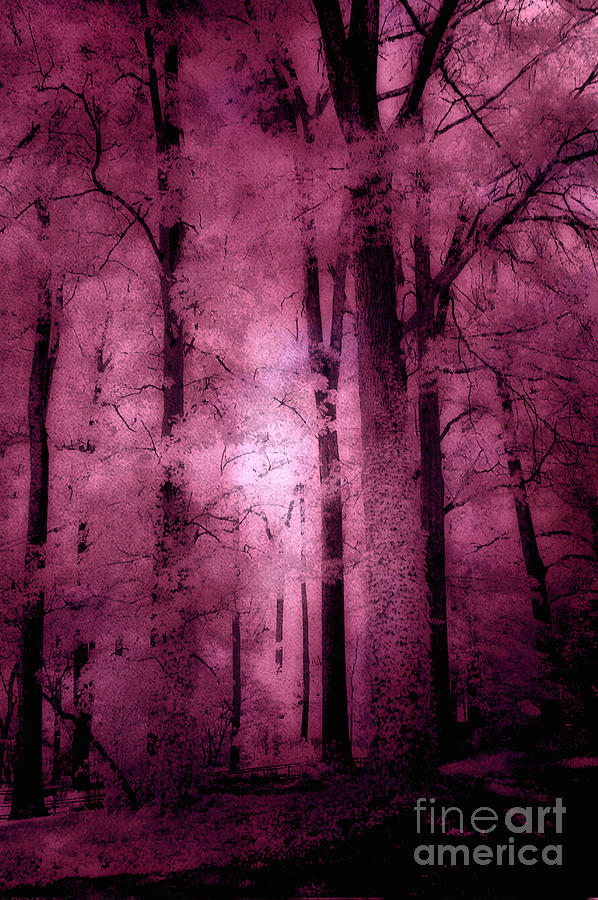 Surreal Fantasy Pink Forest Haunting Woodlands Trees Photograph by Kathy Fornal